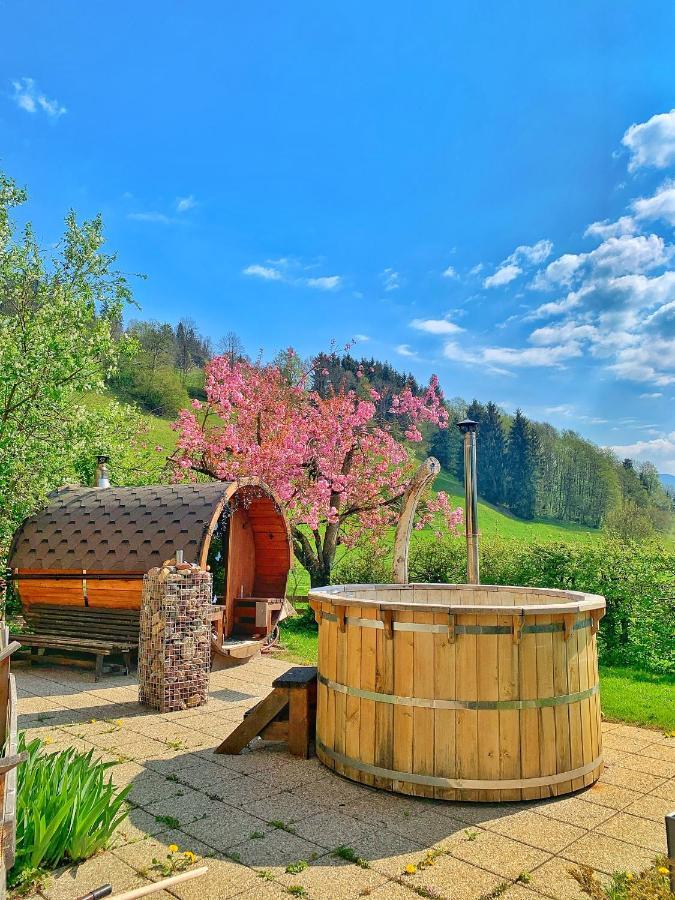 Hotel Garni Wieshof Кірхберг Екстер'єр фото